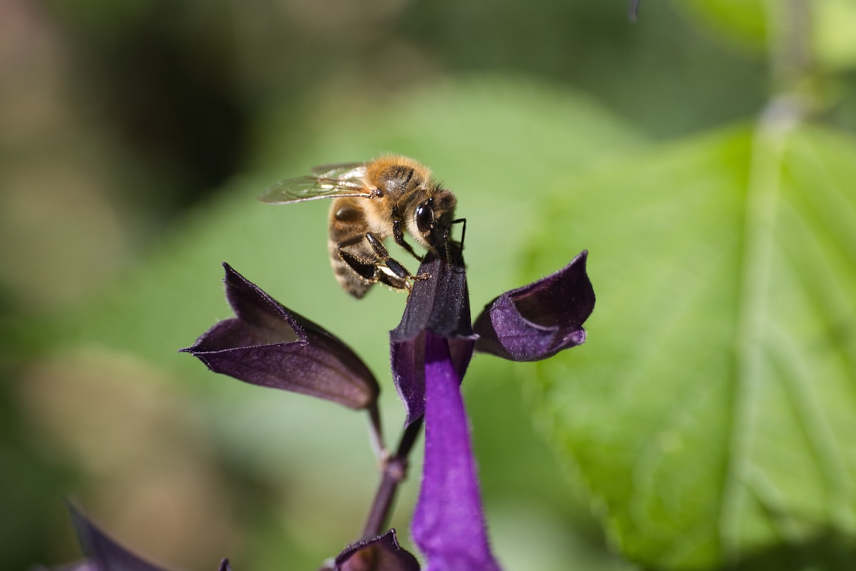 Storm clouds gathering over West Orange County, Florida