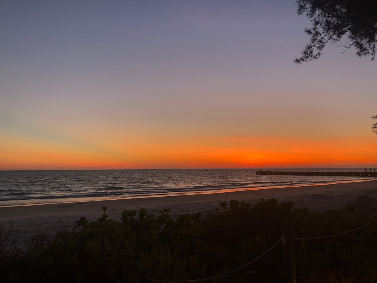 Orlando Magic players celebrating on court during NBA playoffs