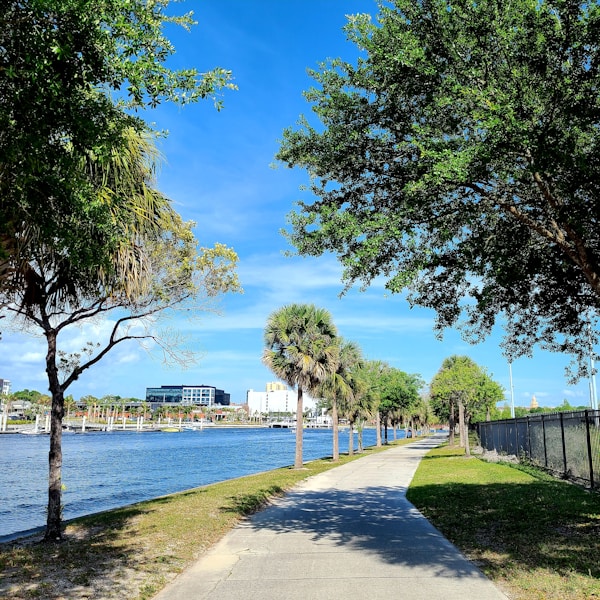 Hydroponic garden growing fresh vegetables