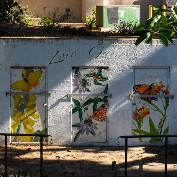 Students tending a school butterfly garden with flowering plants