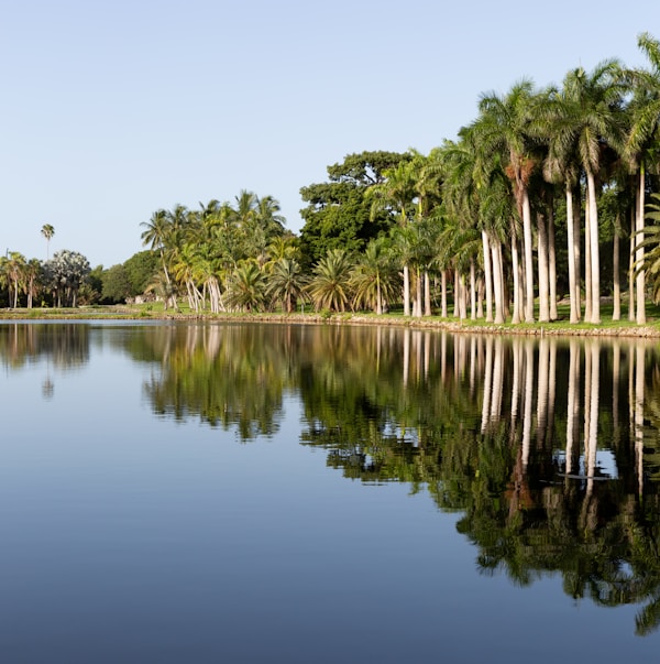 Florida lake with aquatic vegetation