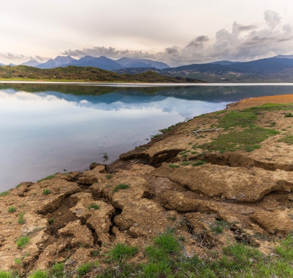 Ancient archaeological site water bones discovery